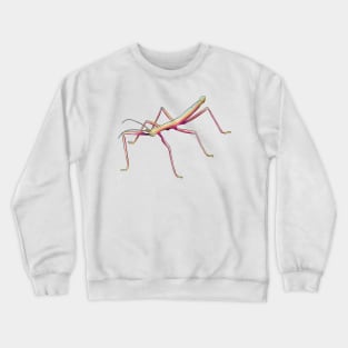 Pansexual Stick Bug Crewneck Sweatshirt